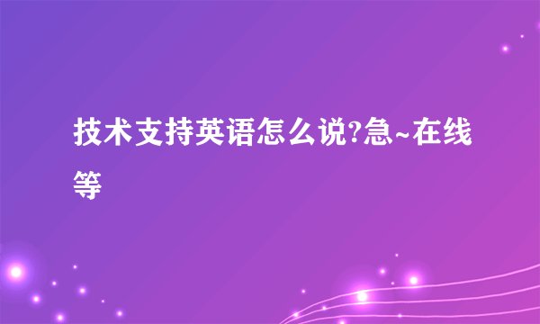 技术支持英语怎么说?急~在线等
