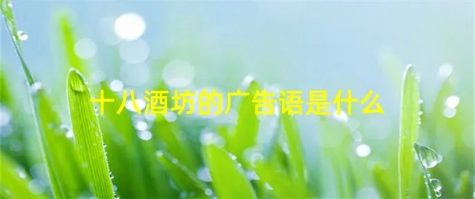 十八酒坊的广告语是什么