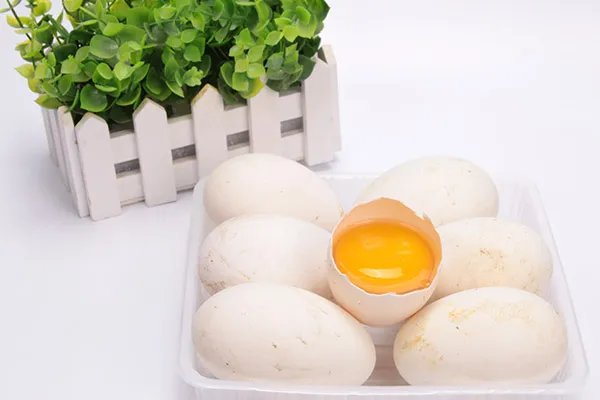 吃鹅蛋有什么好处