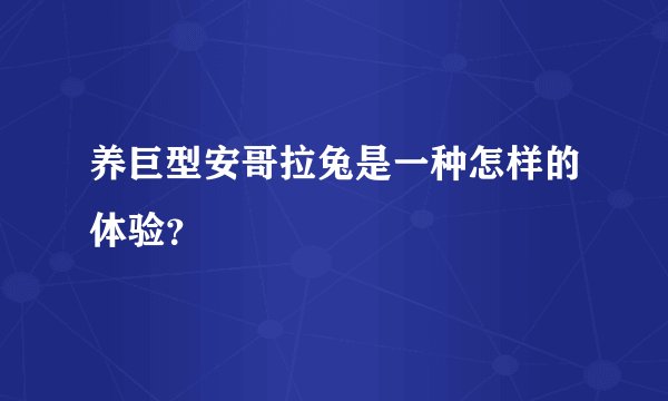 养巨型安哥拉兔是一种怎样的体验？