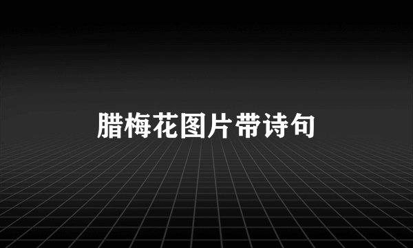腊梅花图片带诗句