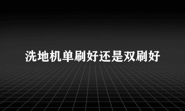 洗地机单刷好还是双刷好