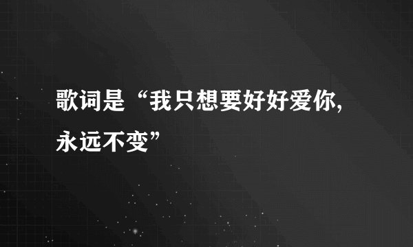 歌词是“我只想要好好爱你,永远不变”
