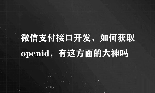微信支付接口开发，如何获取openid，有这方面的大神吗