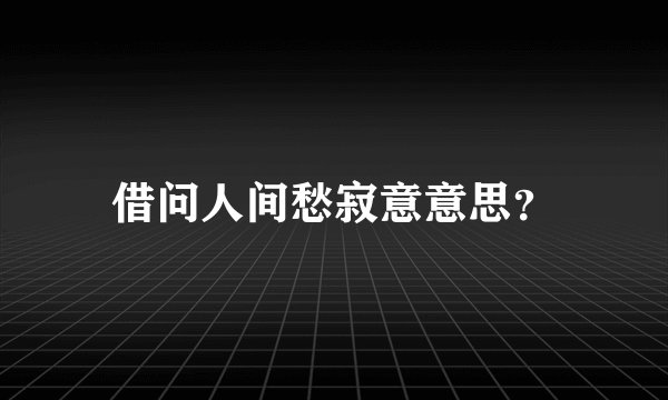 借问人间愁寂意意思？