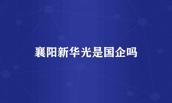 襄阳新华光是国企吗