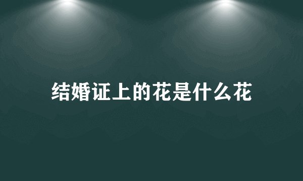结婚证上的花是什么花