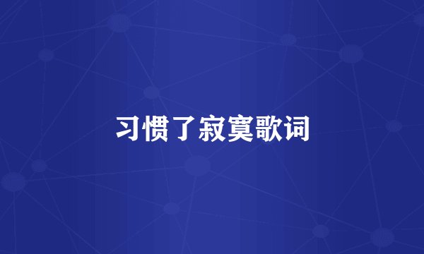 习惯了寂寞歌词