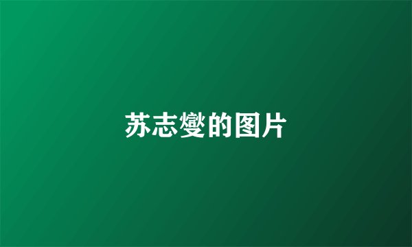 苏志燮的图片