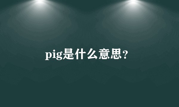pig是什么意思？