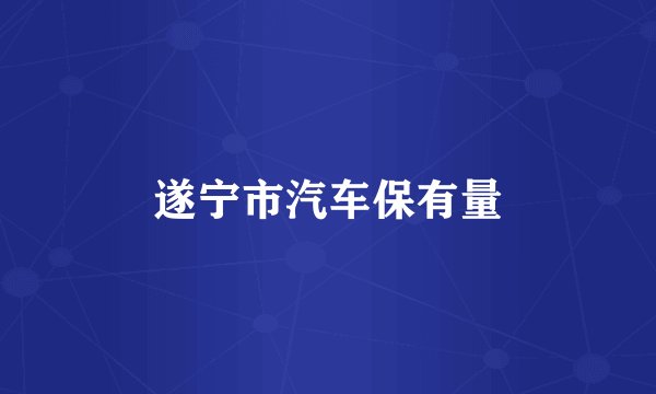 遂宁市汽车保有量