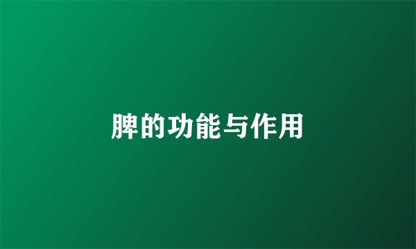 脾的功能与作用