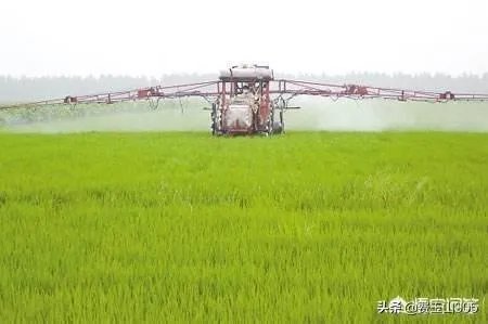未来我国农机化发展趋势是怎样的?