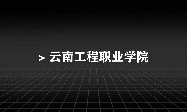 > 云南工程职业学院