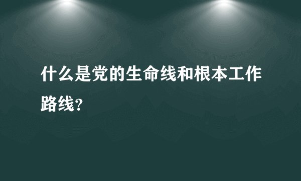 什么是党的生命线和根本工作路线？