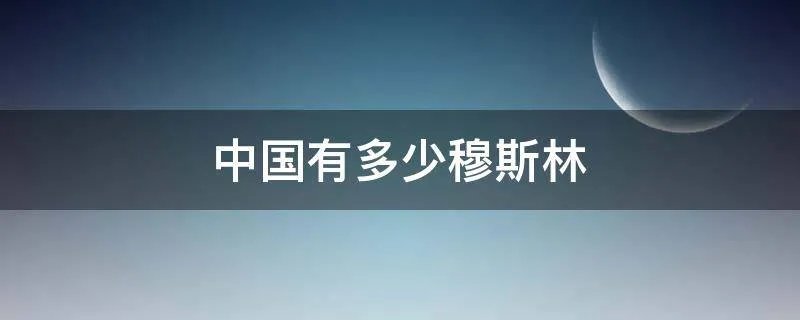 中国有多少穆斯林