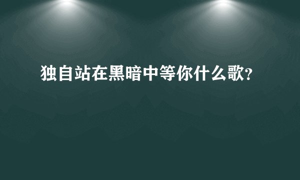 独自站在黑暗中等你什么歌？