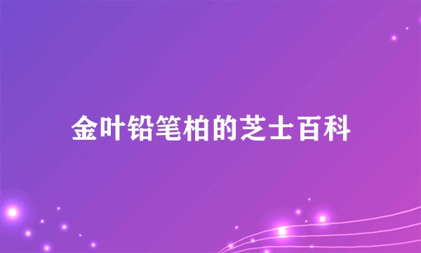 金叶铅笔柏的芝士百科