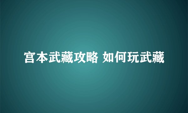 宫本武藏攻略 如何玩武藏