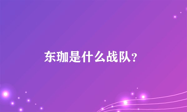 东珈是什么战队？