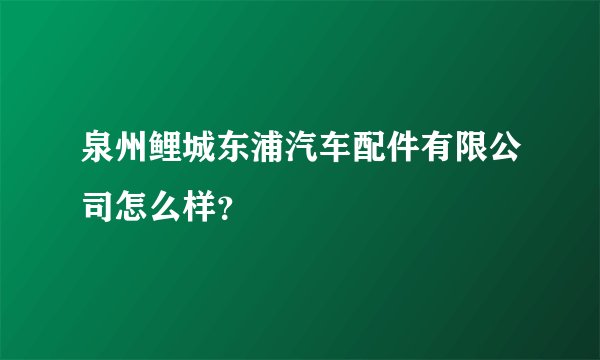 泉州鲤城东浦汽车配件有限公司怎么样？