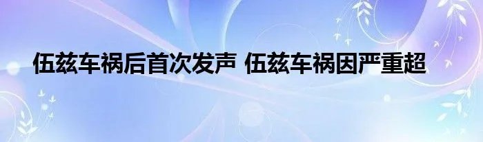 伍兹车祸后首次发声 伍兹车祸因严重超