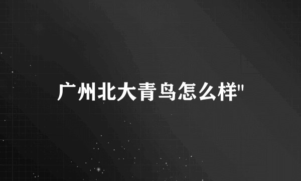 广州北大青鸟怎么样