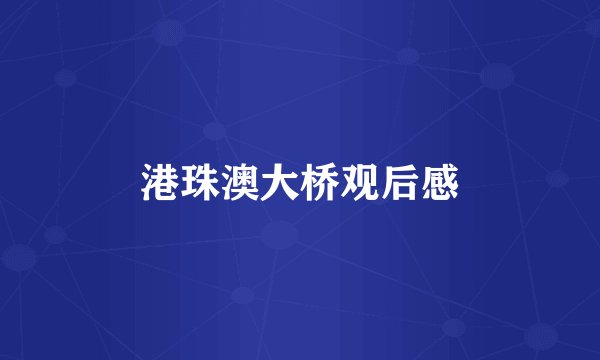 港珠澳大桥观后感
