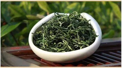 绿茶的品种都有哪些