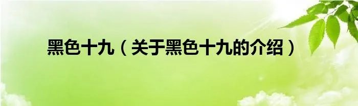 黑色十九(关于黑色十九的介绍)