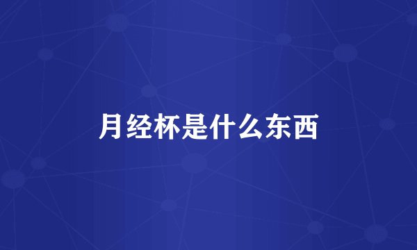 月经杯是什么东西