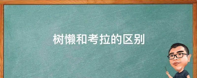 树懒和考拉的区别