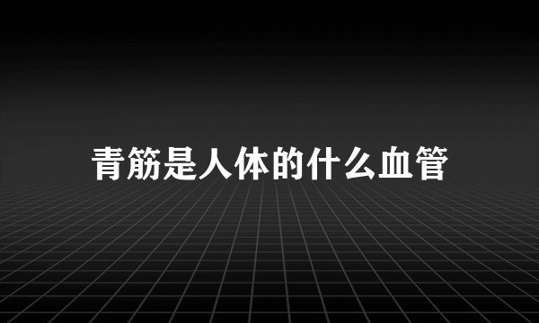 青筋是人体的什么血管