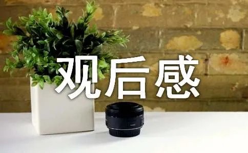 辣妈辣妹观后感