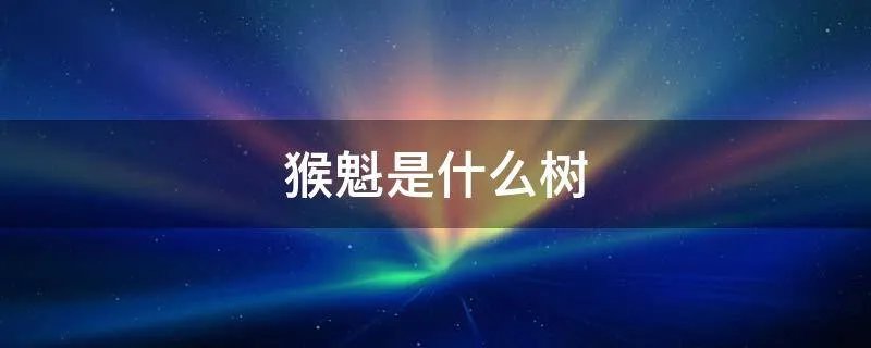 猴魁是什么树