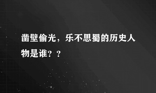 凿壁偷光，乐不思蜀的历史人物是谁？？