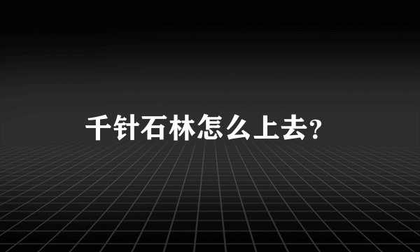 千针石林怎么上去？