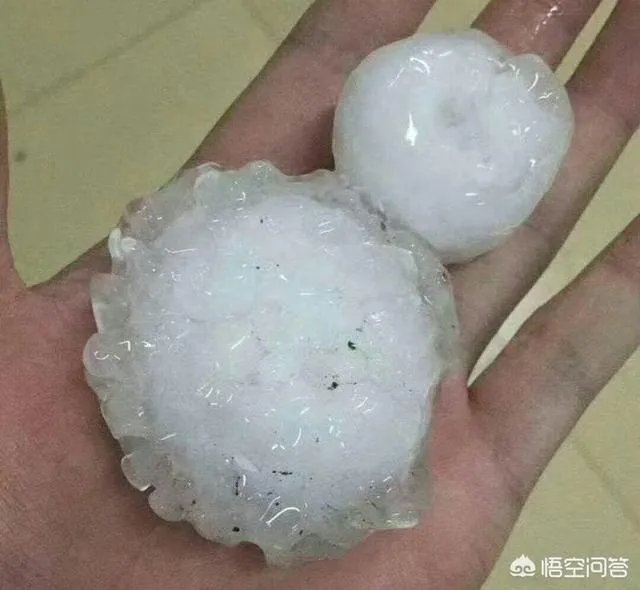 山东,四川等地有冰雹,对农作物损害非常大,你怎么看?