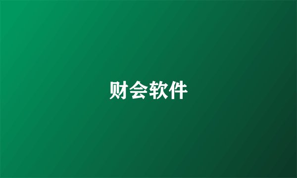 财会软件