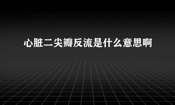 心脏二尖瓣反流是什么意思啊