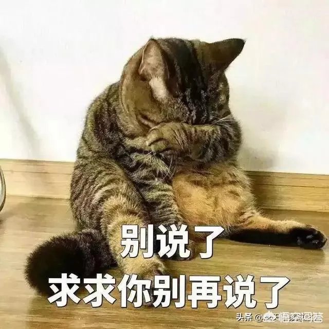 2019年高考,河北录取分数线预估多少?