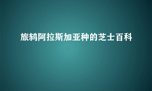 旅鸫阿拉斯加亚种的芝士百科