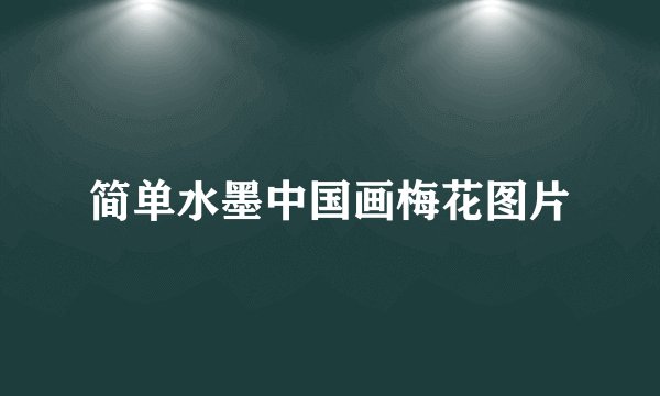 简单水墨中国画梅花图片