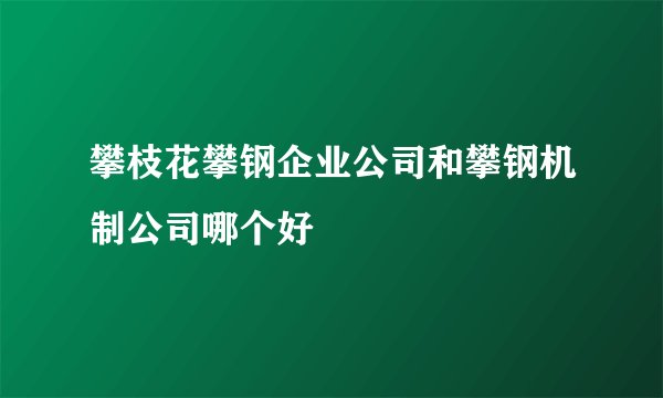 攀枝花攀钢企业公司和攀钢机制公司哪个好