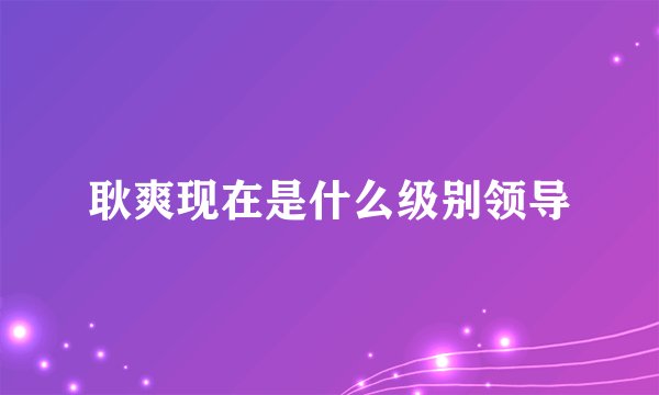 耿爽现在是什么级别领导