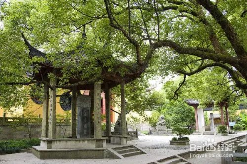 这个黄金周去这个人潮涌动的地方看什么?