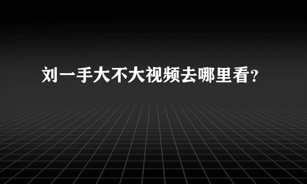 刘一手大不大视频去哪里看？