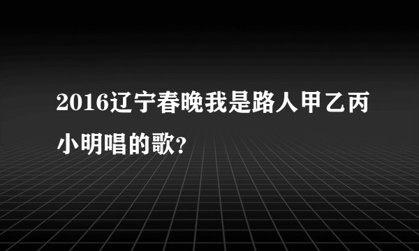 2016辽宁春晚我是路人甲乙丙小明唱的歌？