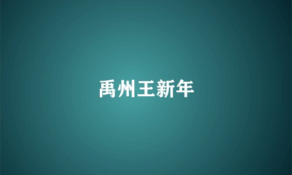 禹州王新年