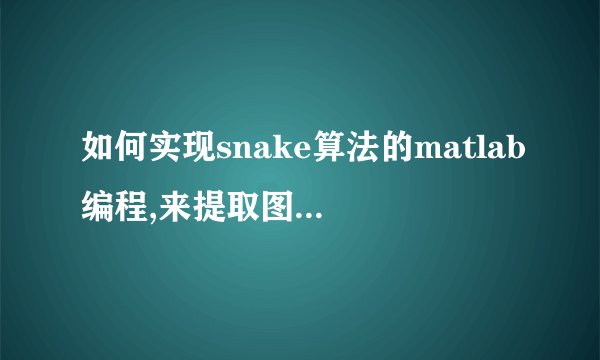 如何实现snake算法的matlab编程,来提取图像中划痕缺陷的边缘，谁有程序不妨发上来